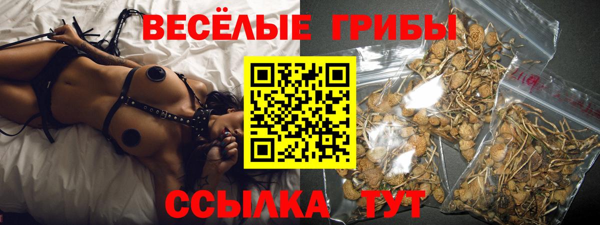 Псилоцибиновые грибы мухоморы Ирбит