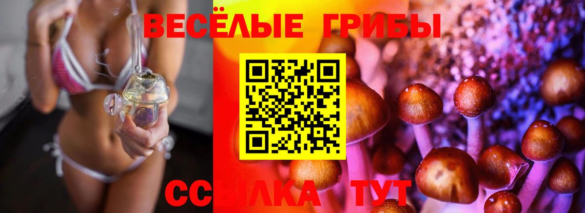 Галлюциногенные грибы MAGIC MUSHROOMS  Вход с VPN  Ирбит 